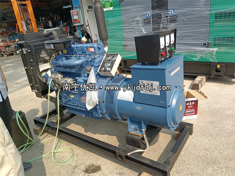 2024年4月1日，客戶到店自提30KW濰坊雷納柴油發(fā)電機(jī)組