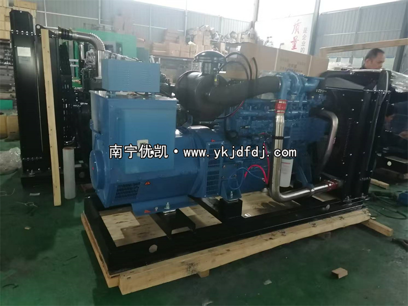 2025年2月20日，國外項目兩臺150KW玉柴柴油發(fā)電機組裝車出口